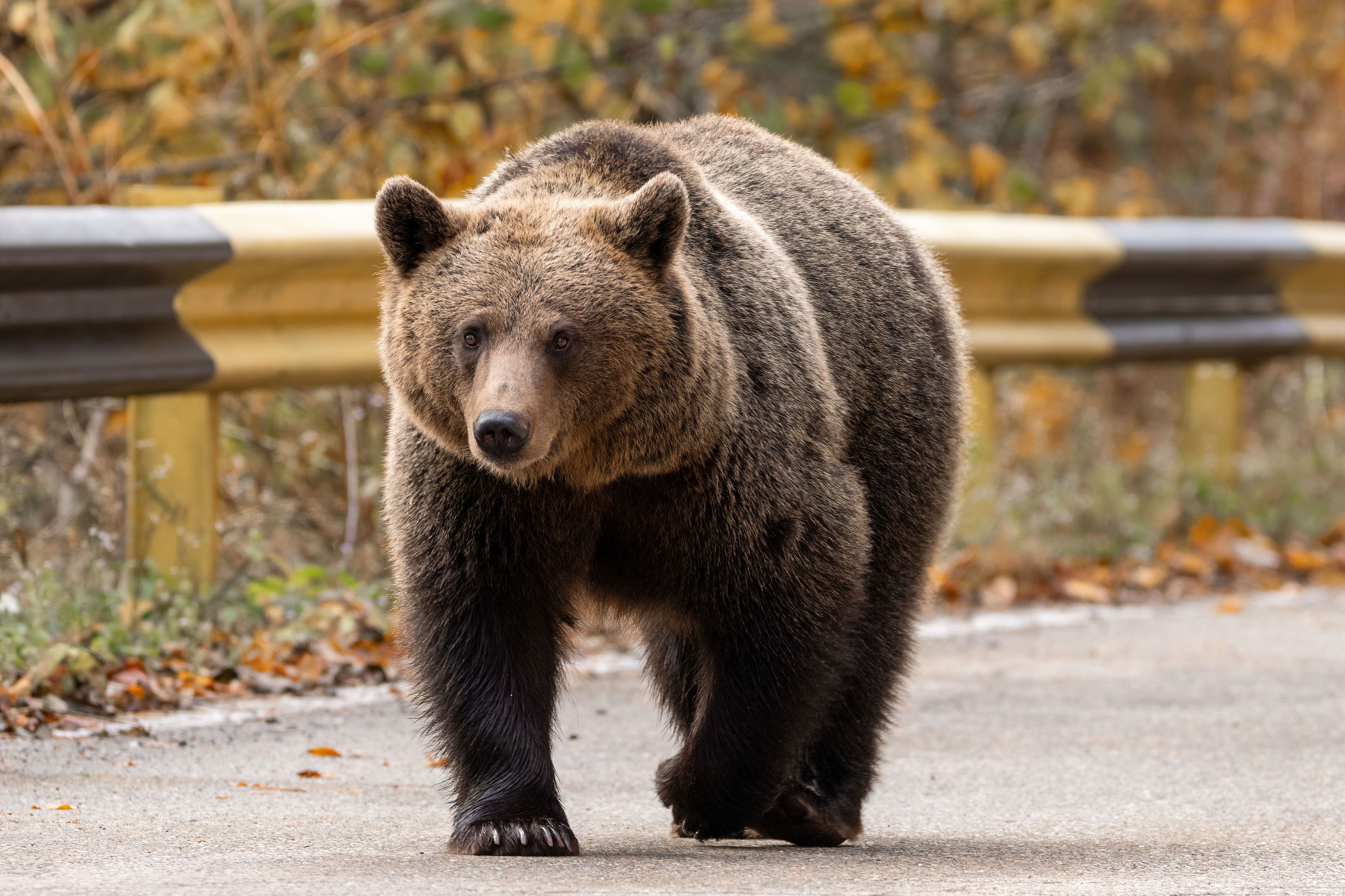 img_132b6c9728aac3b17792dcbe47