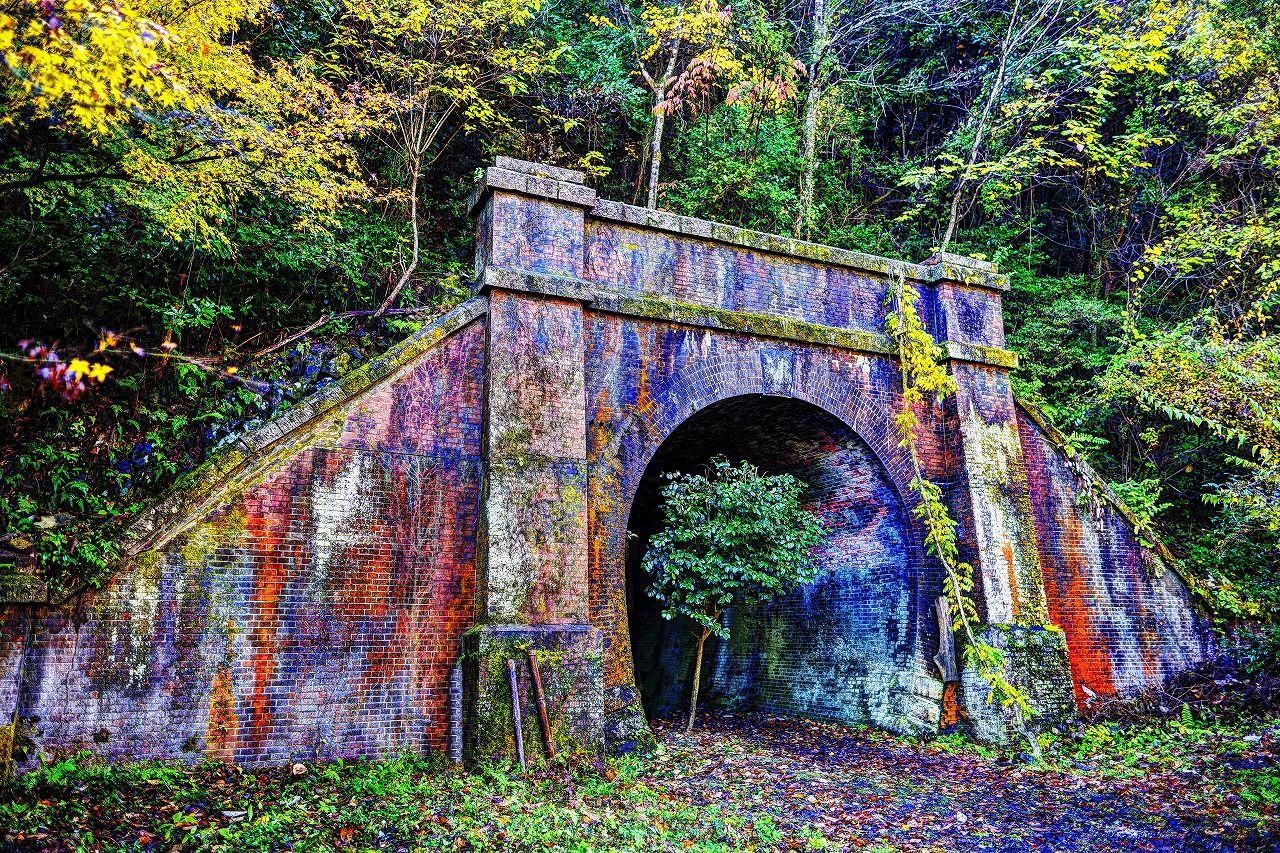 img_394d280551cccc472aa3bd992e