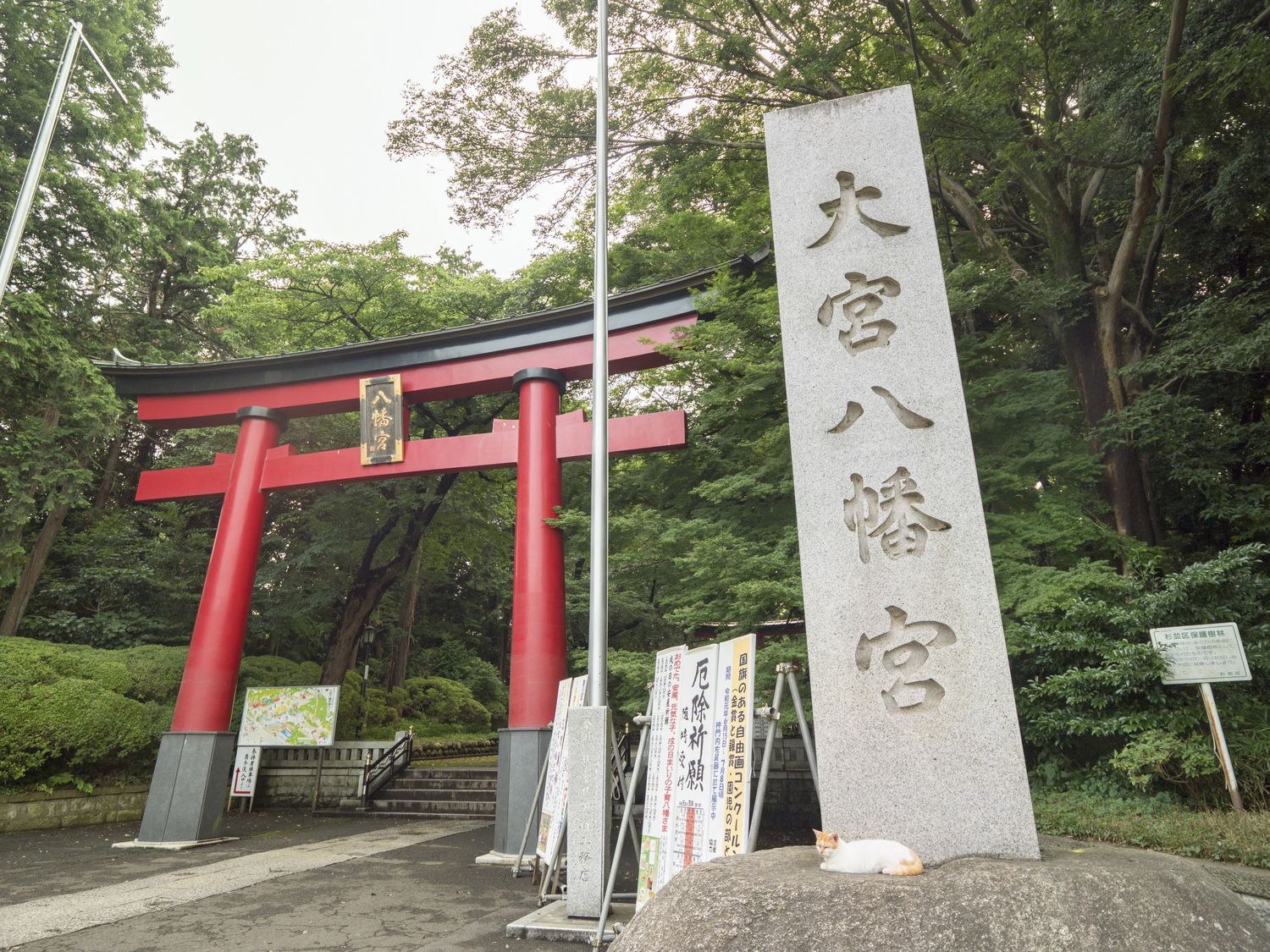 東京のへそ と呼ばれる古代以来の聖地 大宮八幡宮の巡り方 日本の神社と神様を巡る旅 第1回 Jbpress Autograph