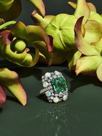 ティファニーが2022年新作に、自然界の花々に着想を得たピースを追加