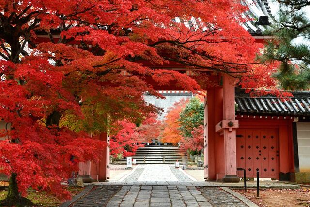 『光る君へ』藤原道長の姉・詮子、皇子を産んでも皇后になれず、国母として皇太后へ、史上初の「女院」になった生涯 紫式部と時代を生きた人々のゆかり