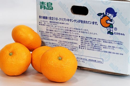 生活習慣病の予防にも いま見直されるミカンの実力 食の安全 Jbpress