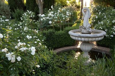 モンタルチーノの最高峰ナチュラルワイン「カーゼ・バッセ・ディ