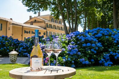 img_b7c12108305260b132b788ed5e