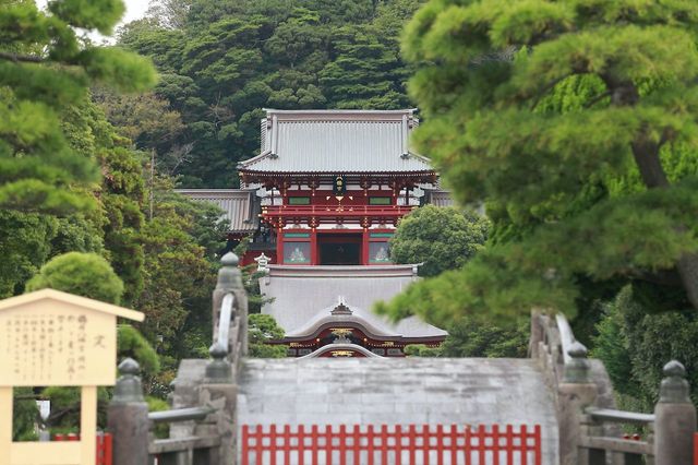 鎌倉観光にはずせない、源頼朝ゆかりの神社・鶴岡八幡宮の巡り方 日本の神社と神様を巡る旅（第3回） | JBpress autograph