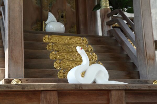 img_c7c6c6e742b5e7353f4ff6fb99