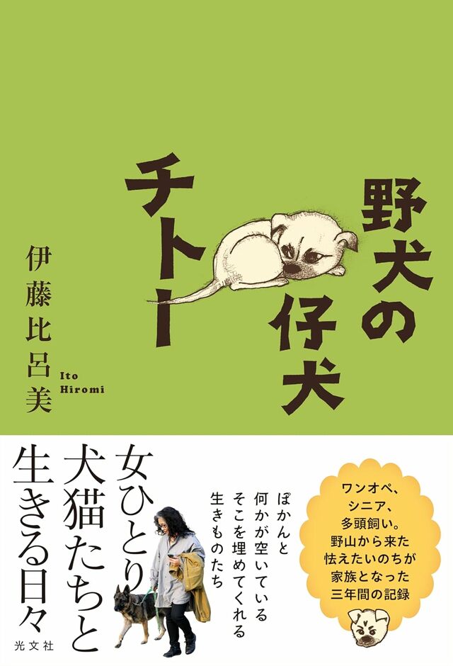 動物愛護週間（9/20〜26）に犬の本を、女性詩ブームをけん引した詩人と野犬との日々、直木賞作家が描く絶対愛の世界 今月読みたい本（第15回） |  JBpress autograph