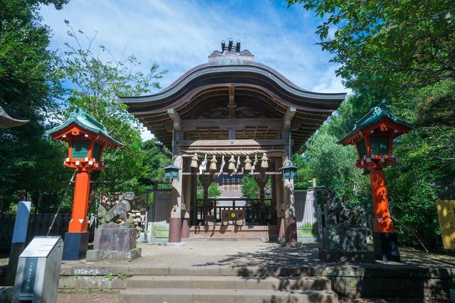 2024年は辰年！初詣にもおすすめ「龍（辰）」にまつわる神社10選 干支