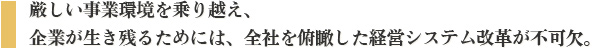 厳しい事業環境を乗り越え、企業が生き残るためには、全社を俯瞰した経営システム改革が不可欠。