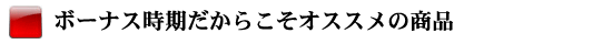 ボーナス時期だからこそオススメの商品