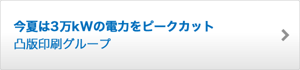 今夏は3万kWの電力をピークカット 凸版印刷グループ