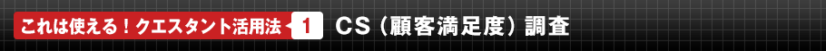 これは使える！クエスタント活用法1　CS（顧客満足度）調査