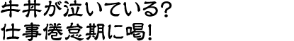 牛丼が泣いている！？仕事倦怠期に喝！