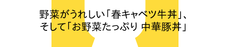 野菜がうれしい「春キャベツ牛丼」、そして「お野菜たっぷり 中華豚丼」