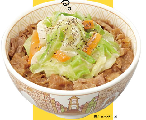 春キャベツ牛丼