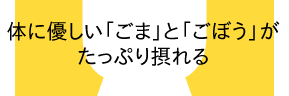 体に優しい「ごま」と「ごぼう」がたっぷり摂れる